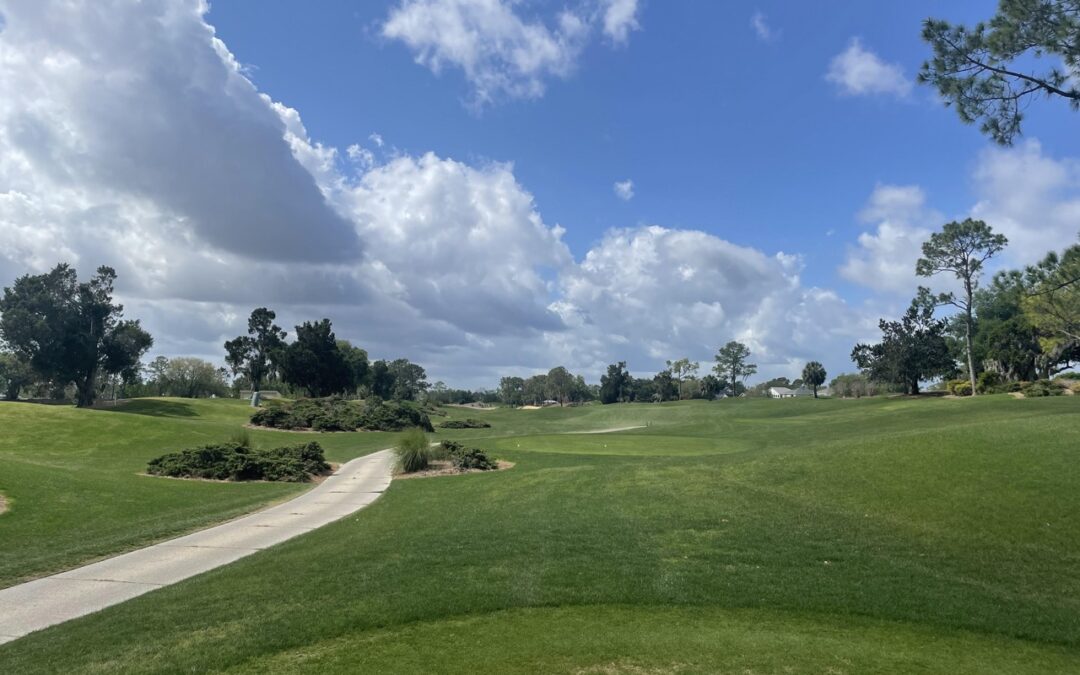 Review: Southern Dunes Golf & Country Club